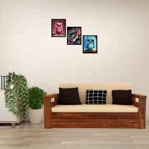 Sofa Cum Bed