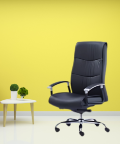 Executive Chair For Sale
