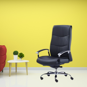 Executive Chair For Sale