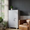 Cupboard on rent