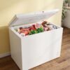 Deep Freezer On Rent (500 Ltr)