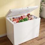 Deep Freezer On Rent (500 Ltr)
