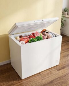 deep freezer on rent in Pune