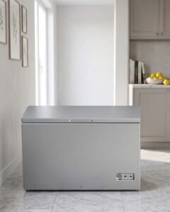 deep freezer on rent 300 ltr