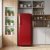 Fridge on rent