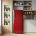 Fridge on rent