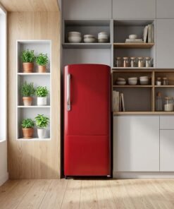 Fridge on rent