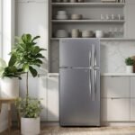 Fridge on rent