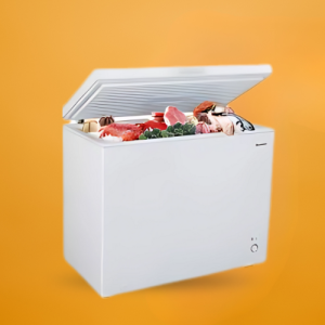 deep freezer on rent 200 ltr