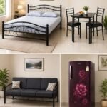 Iron Bed + DIning Table + Sofa + Fridge