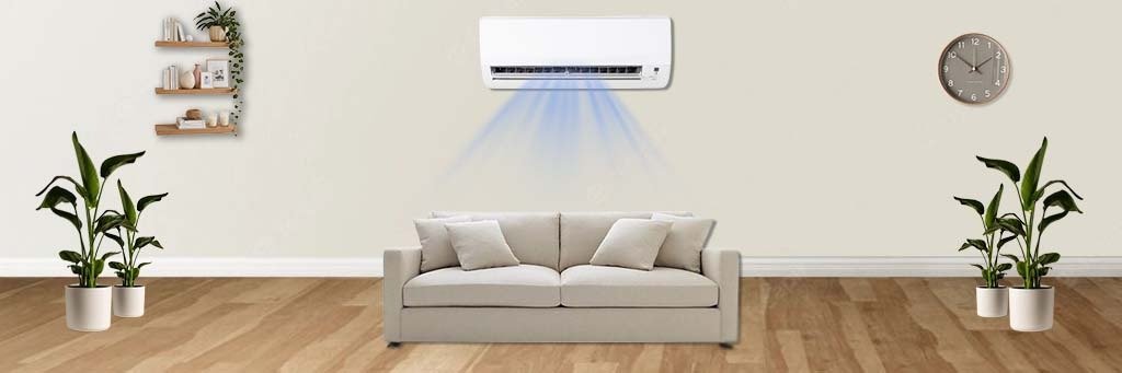 WhatsApp Image 2026-01-19 at 2.30.41 PM